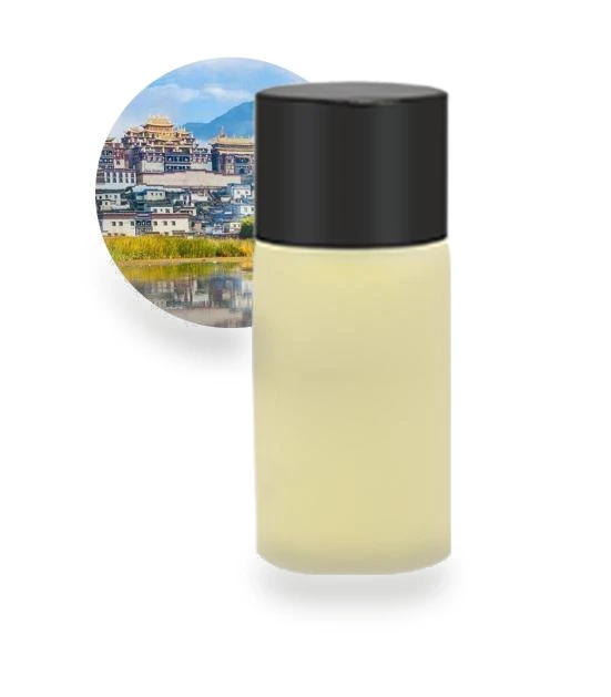Smart Car Air Freshener — Car Air Fresheners, Cars Auto Home