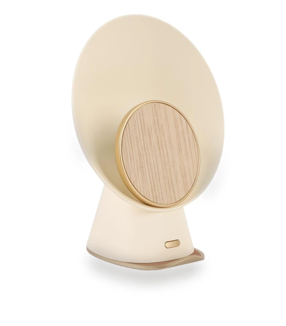 Bluetooth Speaker with Phone Charger — Accessory Kits, DIYelecs