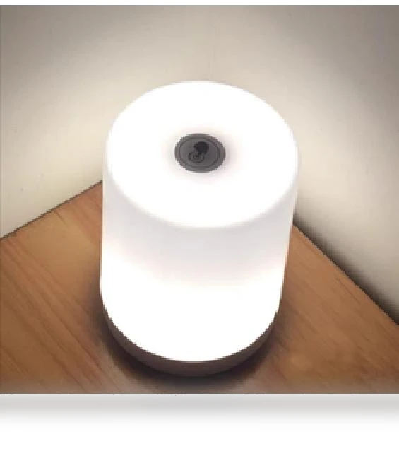 USB Rechargeable Touch Control LED Bedside Table Lamp — Desk & Table Lighting, Zhou Yajin