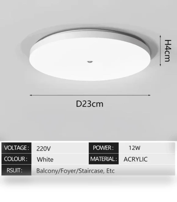 Ceiling Motion Sensor Light — Close To Ceiling, Elegant Living House