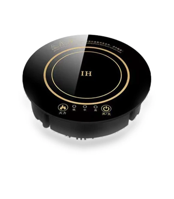 Mini Induction Cooktop — Portable Cooking Solutions, GYROBALL