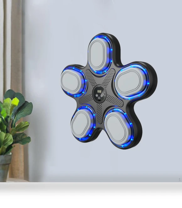 Electronic Wall Target Music — Boxing Training Gear, Closet of Beauty