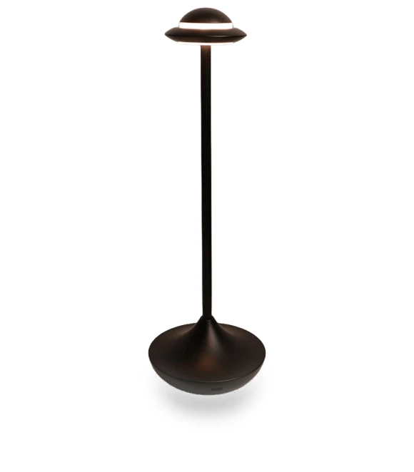 Metal LED Desk Lamp with Battery — Study & Desk Lighting, Optimized General