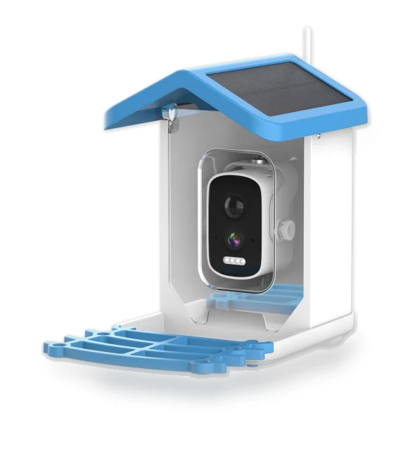 Smart Bird Feeder with Camera — Backyard Birding, Pet Supermarket