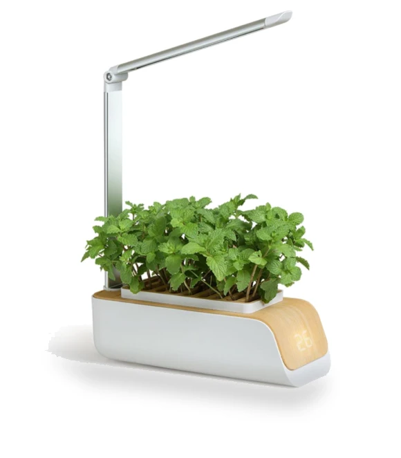 Smart Garden Pot — Growing Lamps, Happy Home Mall