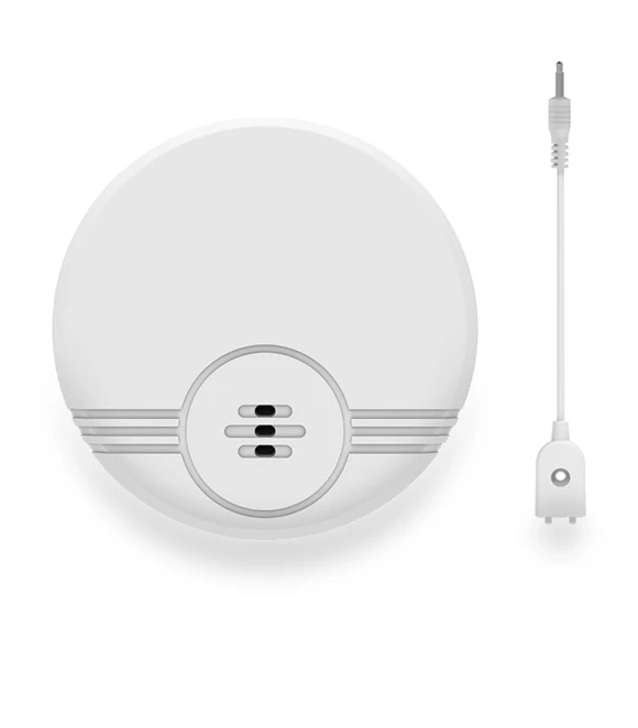 Water Level Sensor — Water Leak Detection Systems, Build My Home