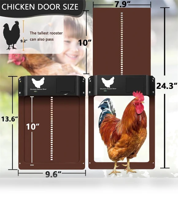 Automatic Chicken Coop Door Opener — Doors, Rainbow Rain