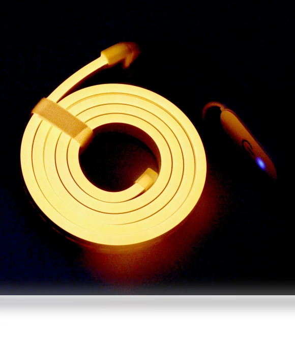 Neon Light Strip with Touch Control — String Lights, Build My Home