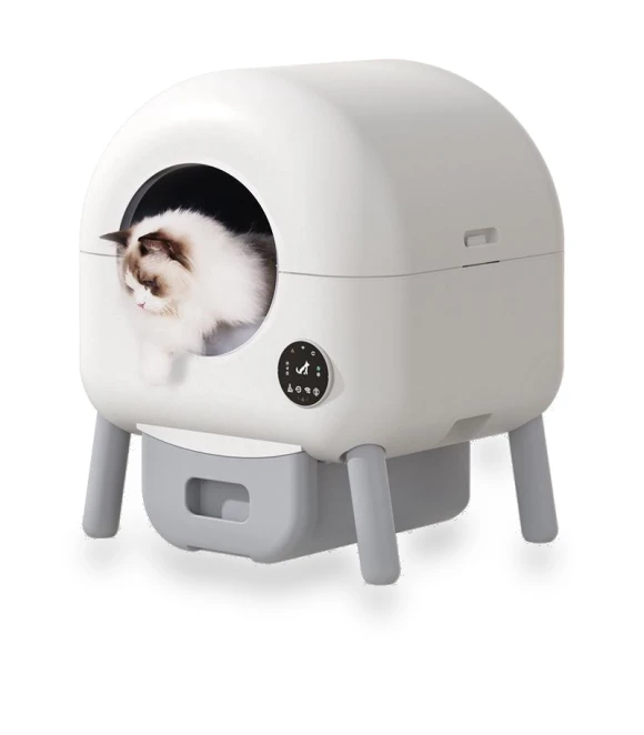 Smart Cat Litter Box — Scoops, Rainbow Rain