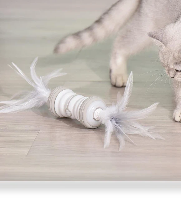 Electric Cat Funny Wand Toy — Cat Playthings, Pet family bucket
