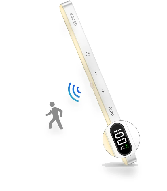 Motion Sensor Light — Garden Illumination, Build My Home