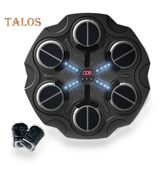 Music Boxing Target with Light Effect — Boxing Training Gear, ZTTO