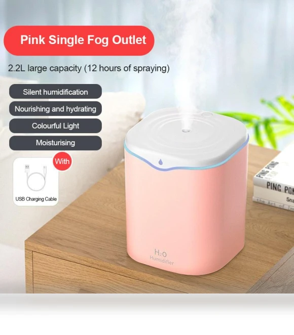 Double Air Humidifier with Spray — Air Moisturizers, Leisury