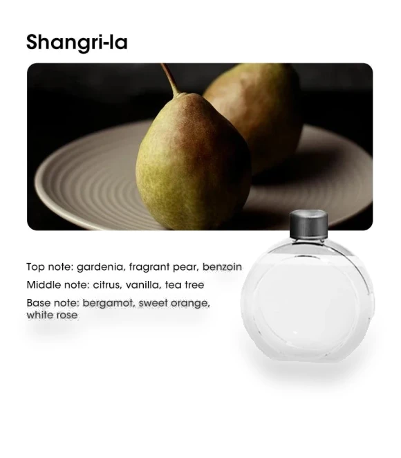 Smart Aroma Diffuser Air Purifier — Diffusers, HIMO Group
