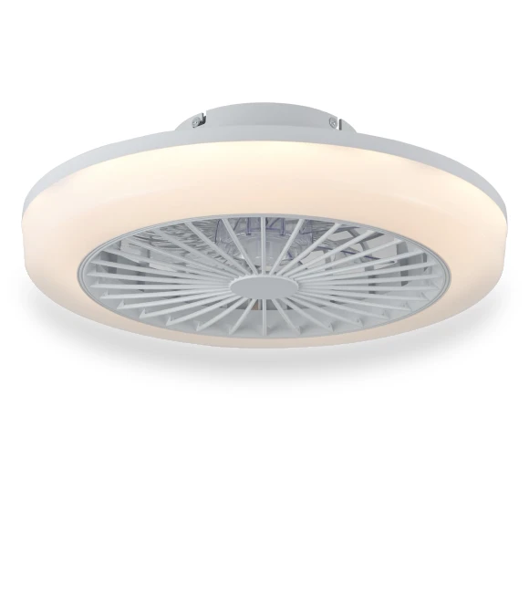 Smart Ceiling Fan with Light — Ceiling Fans, Luminaire Lighting Mall