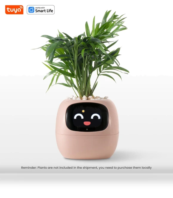 Smart Pot Ivy — Plants & Greenery, Cozy Cottage-Relax