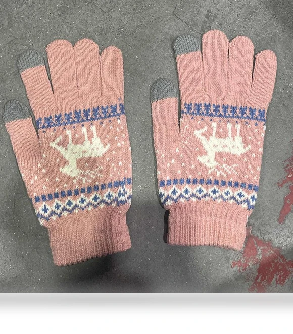 Winter Touchscreen Gloves — Gloves, One-point-three