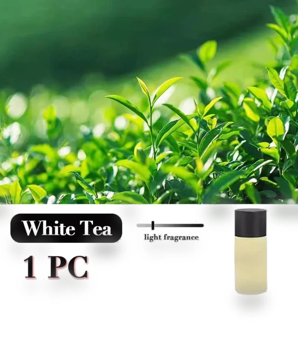 Electric Auto Mist Aromatherapy Diffuser — Car Air Fresheners, Auto Accessories Home