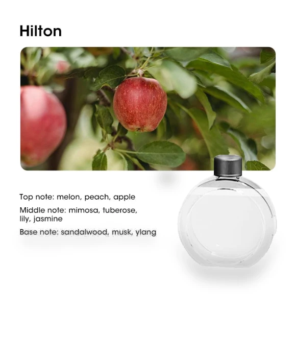 Home Desktop Aromatherapy Diffuser — Diffusers, Super Star Mall