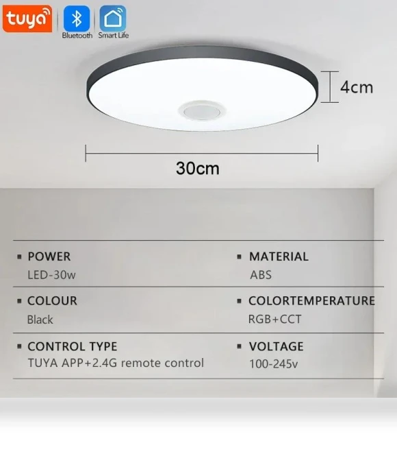 LED Music Ceiling Light — Overhead Lighting, Home Of Auto Parts
