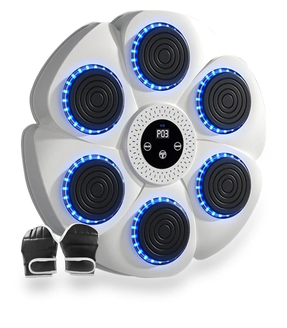 Smart Musical Boxing Trainer — Boxing Training Gear, Super Star Mall