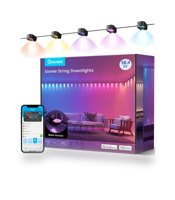 RGBIC String Downlights - Smart Lighting with Music Sync — String Lights, Govee