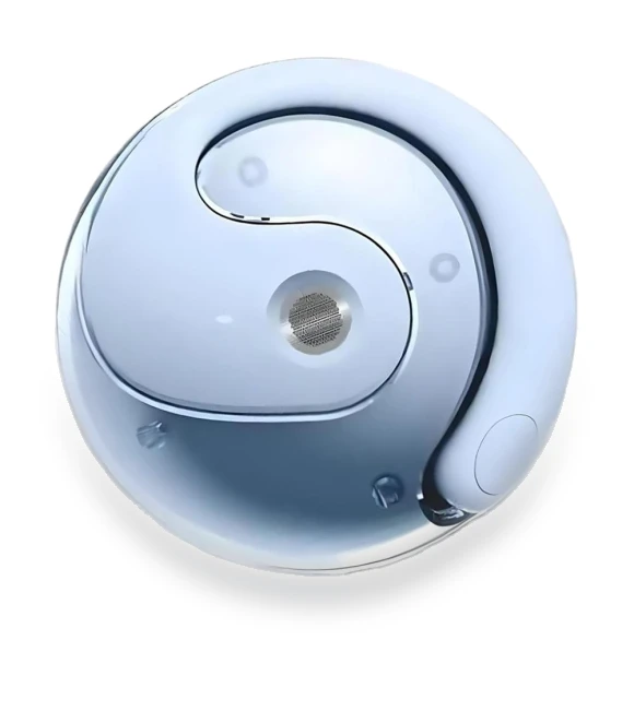 Bluetooth Translator Earbuds — Language Translators, Chic Home