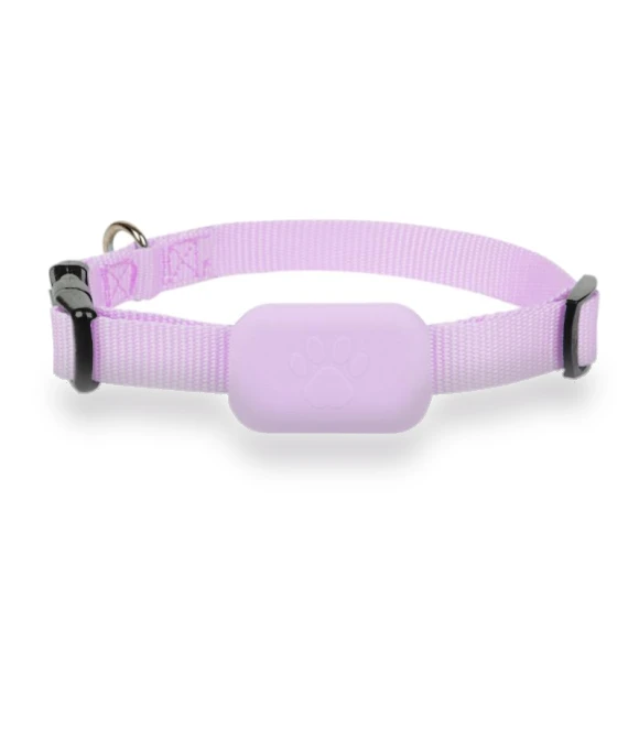 Mini GPS Tracker Dog Collar — Trackers, Chic Home