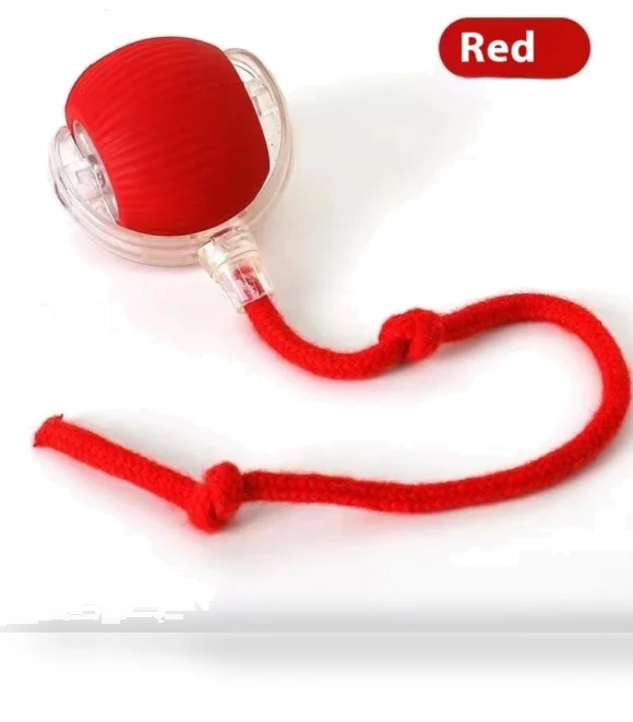 Rechargeable Interactive Pet Toy Ball — Cat Playthings, Xiao Home