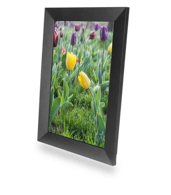 10.1-inch Digital Photo Frame with WiFi and Touchscreen IPS Display — Digital Frames, DIYelecs
