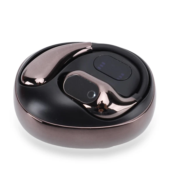 Bluetooth Translator Earbuds — Language Translators, DIYelecs