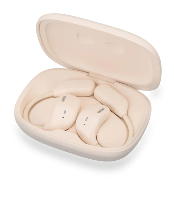 Language Translator Earbuds — Language Translators, DIYelecs