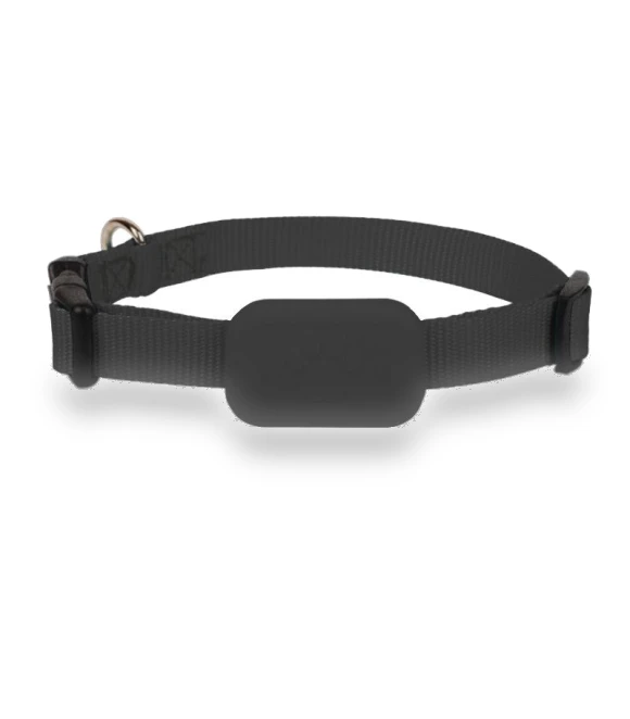 Mini GPS Tracker for Pets — Trackers, Actually lighting