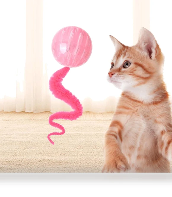 Electric Rolling Ball Toy for Cats — Cat Playthings, Pet Products My