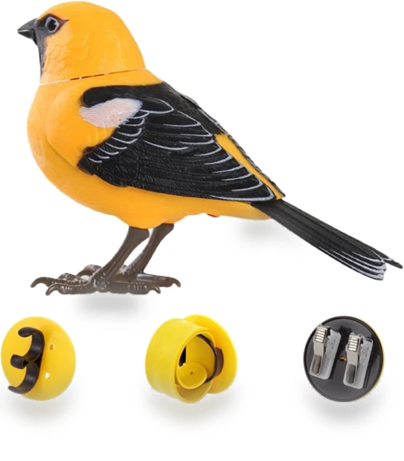 Interactive Bird Toy — Interactive Learning Devices, shengtukeji