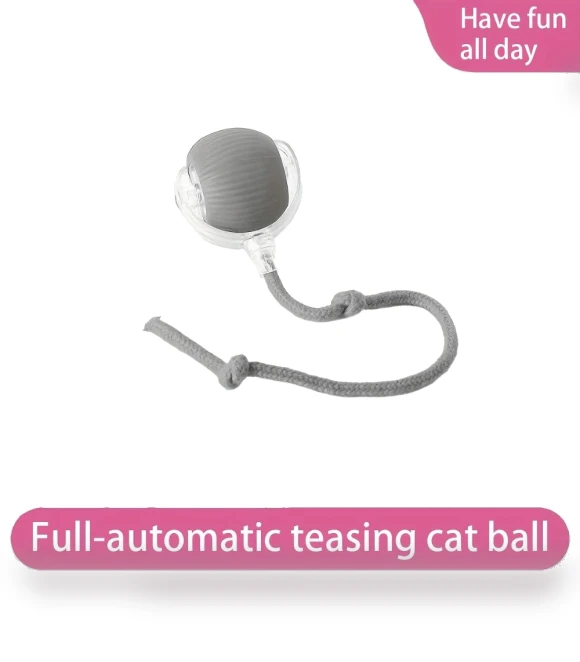 Interactive Cat Toy Ball — Cat Playthings, Ventora