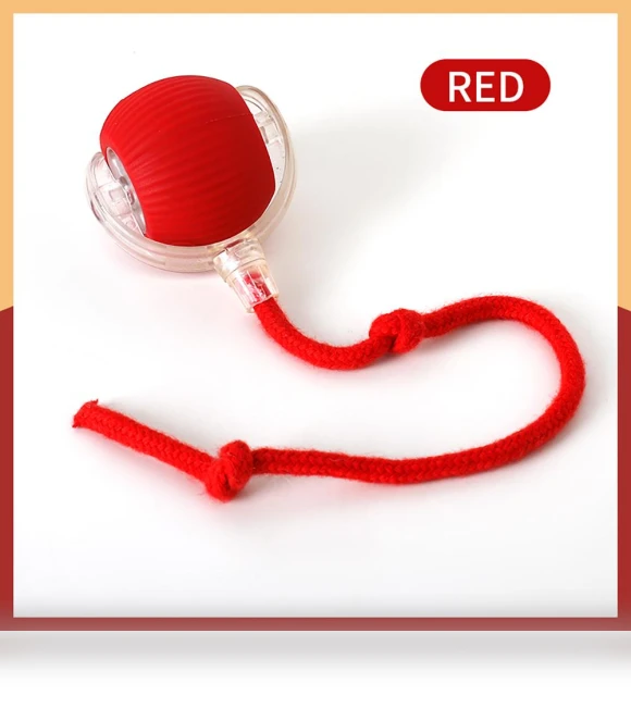 Interactive Pet Ball Toy — Interactive Animal Companions, grocercollect