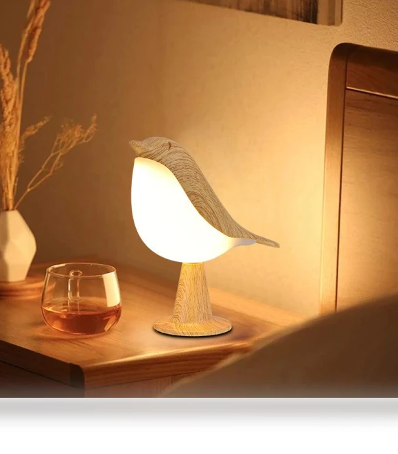 Touch Control LED Night Light with Adjustable Brightness — Night Lights, Binchi Health Electronics