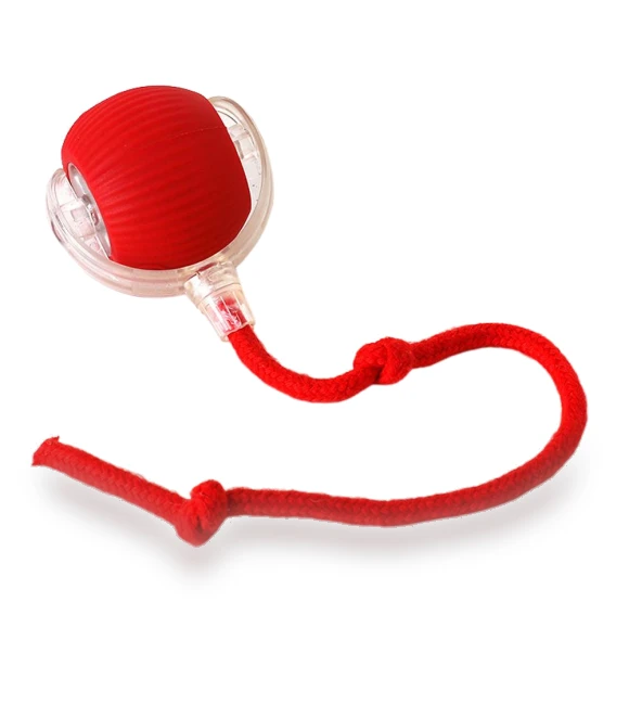 Automatic Rolling Ball Pet Toy — Balls, HOME-Auto-001