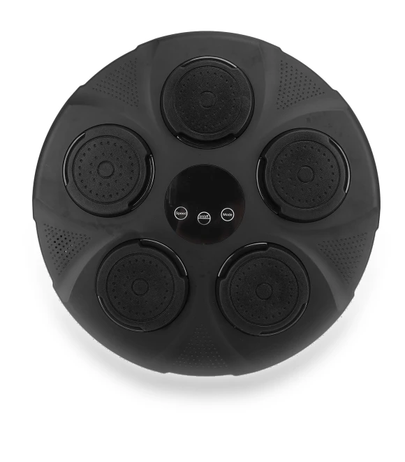 Bluetooth Smart Boxing Trainer — Boxing Training Gear, Fishine