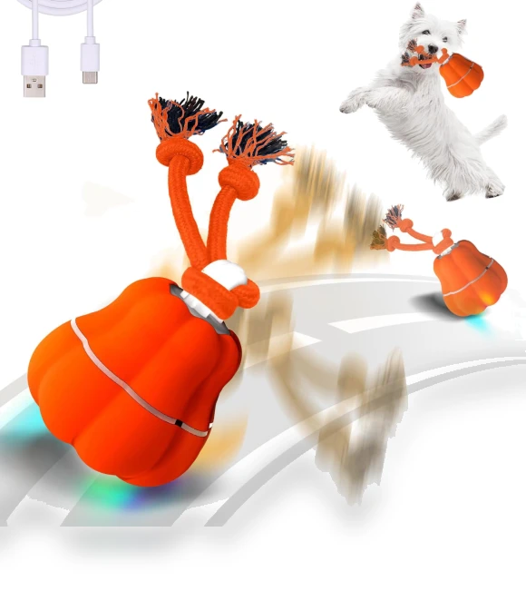 Automatic Rolling Pet Ball — Cat Playthings, sensenbeauty