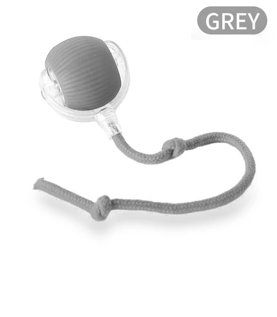 Interactive Smart Ball for Cats — Balls, QIIAII D