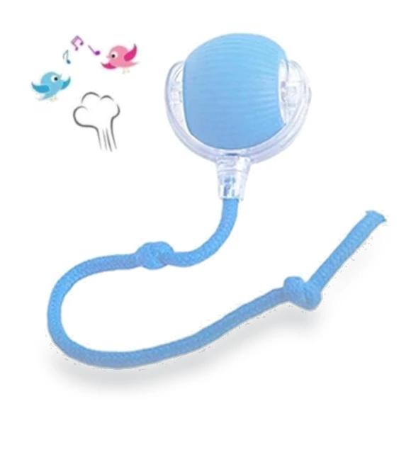 Automatic Rechargeable Smart Pet Ball Toy — Cat Playthings, engdch