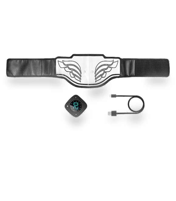 Smart EMS Abdominal Belt — Arm & Wrist Wearables, BC Pet Supplies