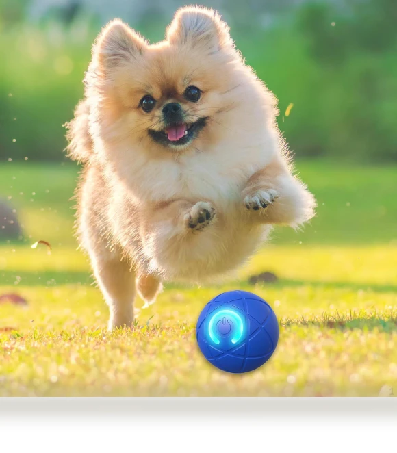 Automatic Moving Smart Ball Dog Toy — Automatic Launchers, SunshineTek