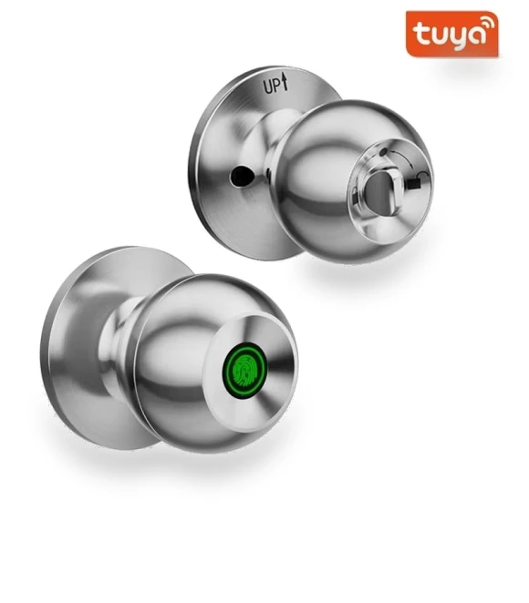 Smart Door Handle with Fingerprint — Biometric Security, Crown Global