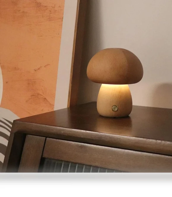 LED Night Light with Touch Switch — Night Lights, Your Warm Home