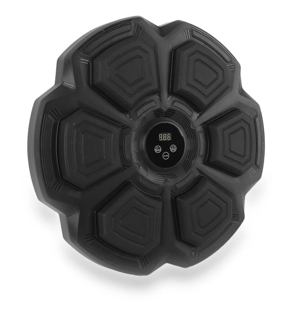 Smart Bluetooth Music Boxing Trainer — Boxing Training Gear, Fishine