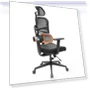Thumbnail Ergonomic Chair with Adaptive Lower Back Support, Adjustable Armrest and Headrest — Desk Chairs, NEWTRAL