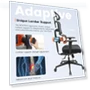 Thumbnail Ergonomic Chair with Adaptive Lower Back Support, Adjustable Armrest and Headrest — Desk Chairs, NEWTRAL